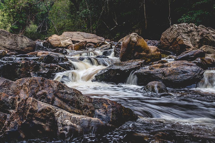 flowing, river, rocks, nature, natural, stream, waterfall, forest, flowing Water, water