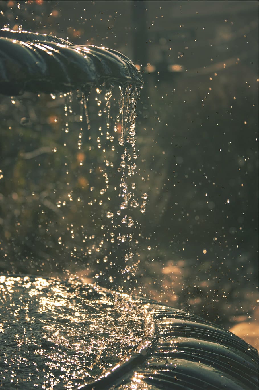 close-up photo, water dew, fountain, time, lapse, photography, outdoor, water, drops, winter