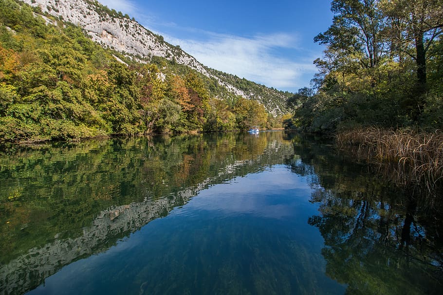 croatia, dalmatia, europe, river, clear, nature, pure nature, landscape, forest, sky