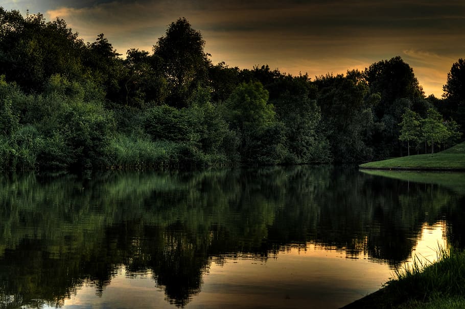body, water, green, trees, forest, lake, reflection, sky, dark, dusk