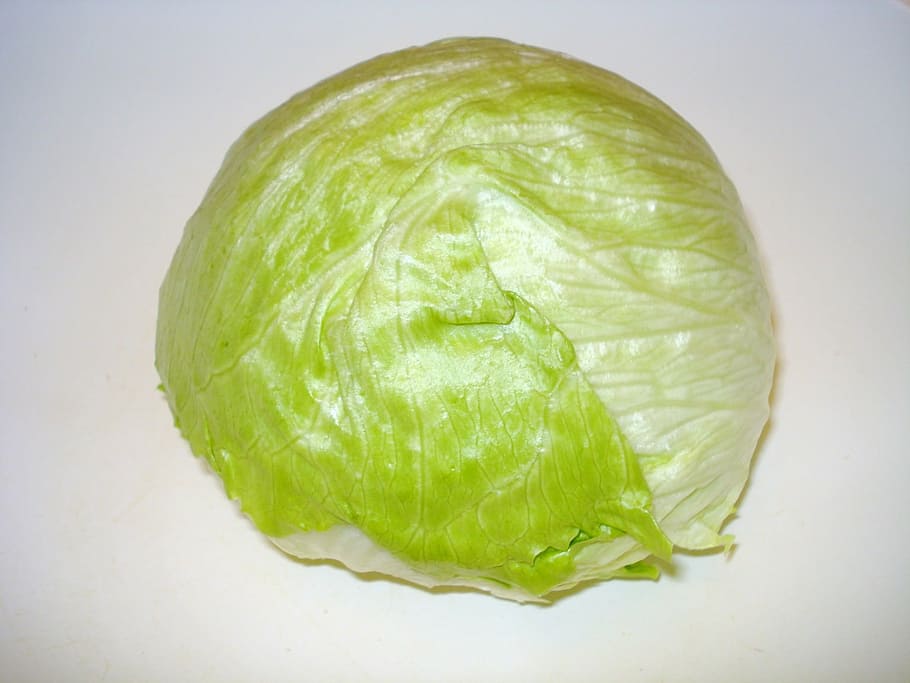 green lettuce, salad, iceberg lettuce, head of lettuce, vitamins, healthy, food, eat, green, healthy eating