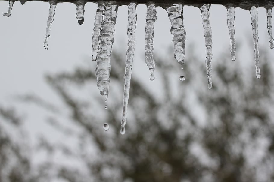icicle, winter, frozen, wintry, melting, ice, water, wintertime, cold, icy