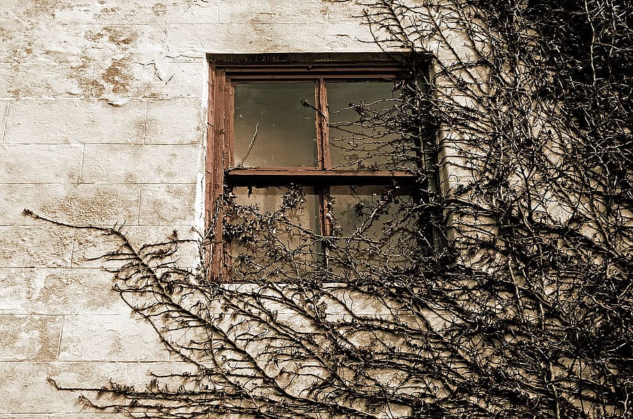 brown, wooden, windowpane, daytime, mysterious, window, old, glass, table, architecture