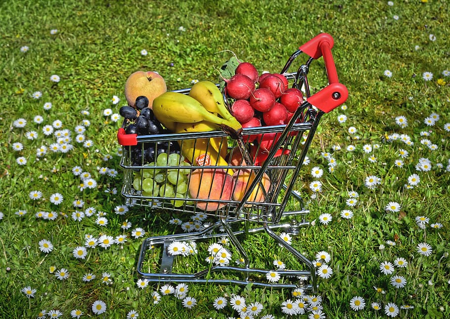 fruit, vegetables, shopping, shopping cart, food, healthy, nature, eat, nutrition, fresh