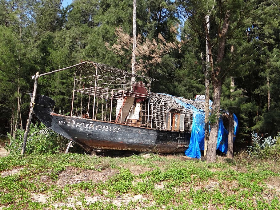 House Boat, Abandonado, Weathered, Naufragio, buque, dañado, bosque, karwar, india, transporte