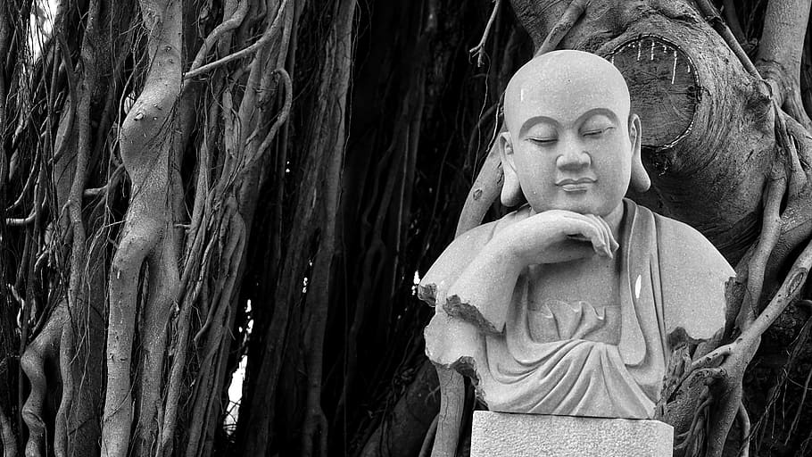buddha, banyan tree, religion, black and white, god, human representation, sculpture, art and craft, male likeness, statue