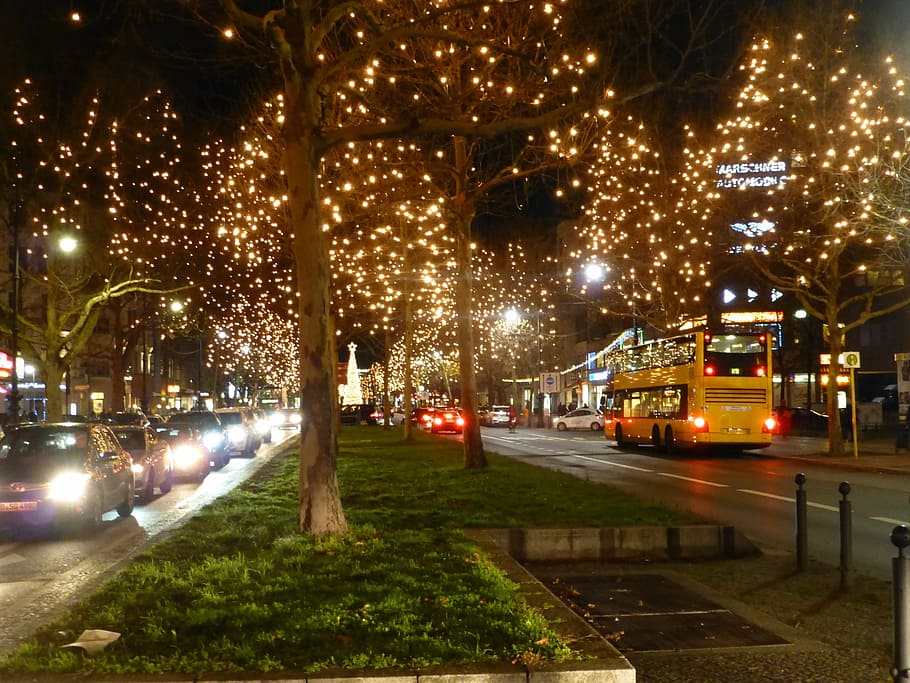 leafless tree, string lights, road, Kurfürstendamm, Berlin, Christmas, Night, christmas, night, christmas lights, illuminated