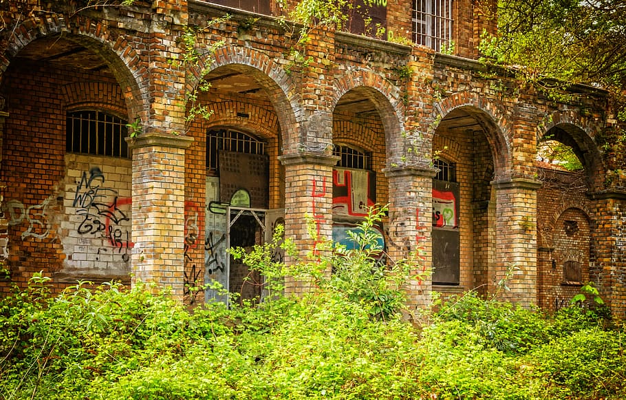green, leaf plant, building, lost places, wall, home, brick, red, dilapidated, overgrown