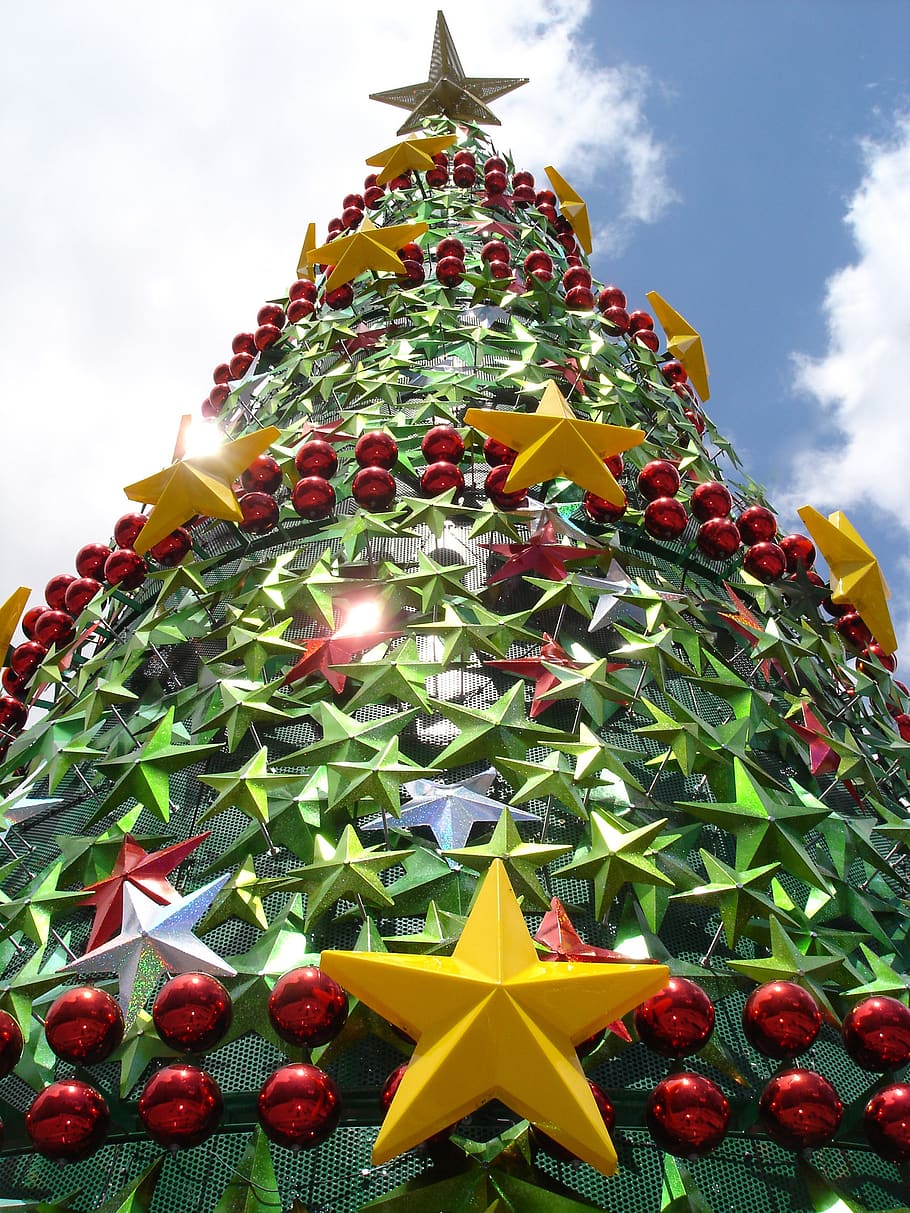christmas tree, public tree, christmas, festive, december, tree, decorative, traditionally, christmas decoration, decoration