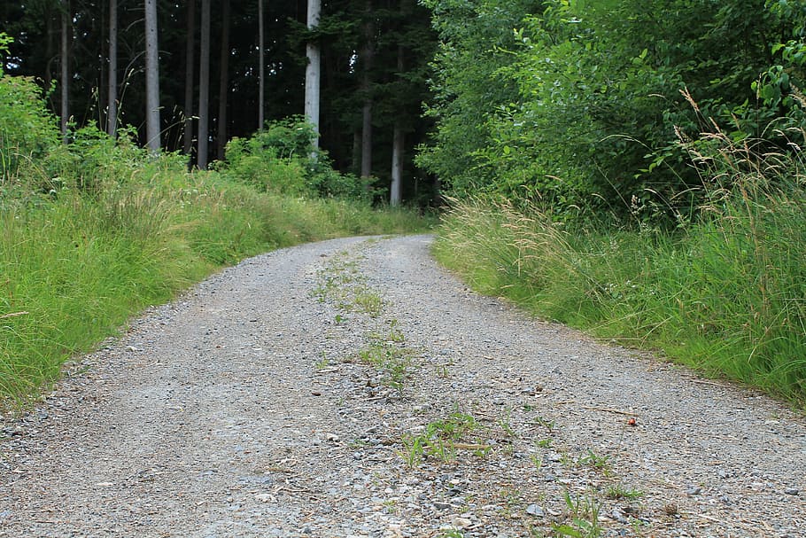 gravel road, forest path, away, pebble, forest, nature, gravel, green, dirt track, promenade