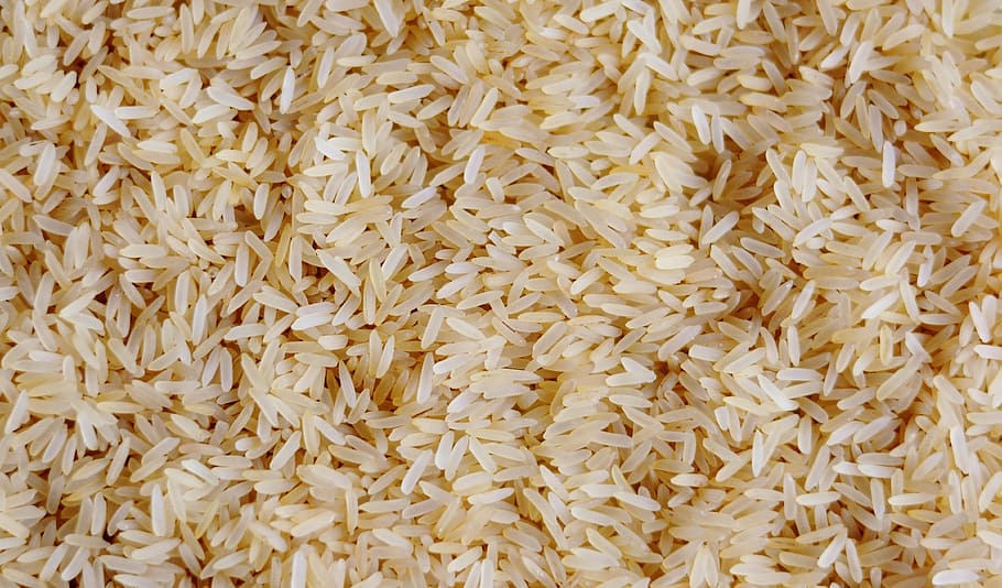 rice, rice grains, food, eat, nutrition, grain of rice, cereals, grains, staple food, backgrounds