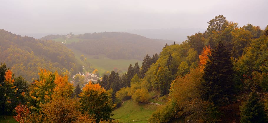 hutan, musim gugur, pemandangan, jalur Eropa, e5, lessinia, italia, pohon, tanaman, scenics - alam