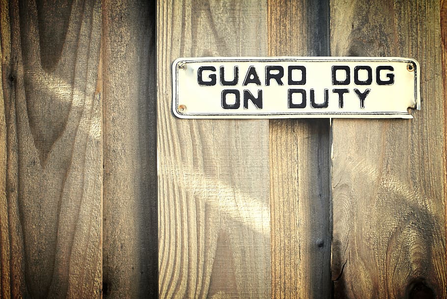 cerca, letrero, madera, resistido, advertencia, perro guardián, deber, cuidado, seguridad, pared