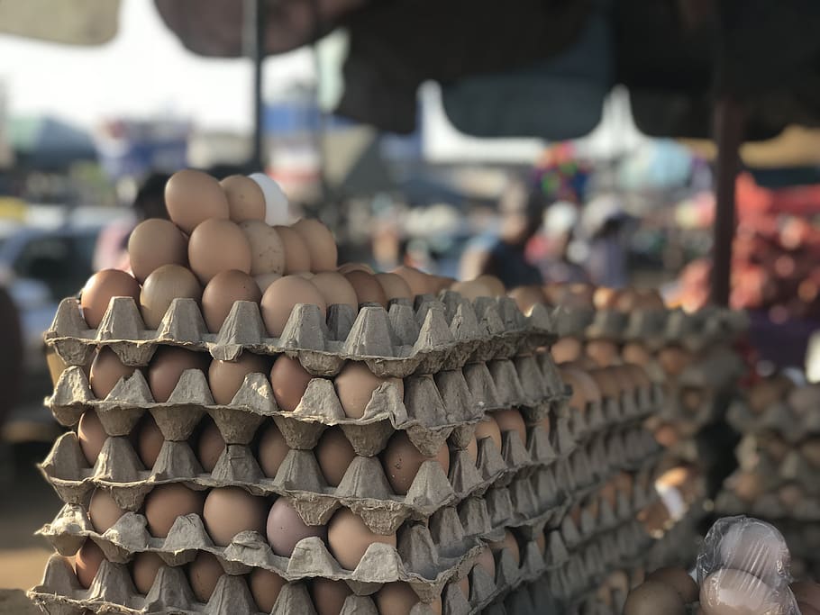huevos, mercado, cajón, pollo, proteína, ghana, centrarse en primer plano, gran grupo de objetos, para la venta, día
