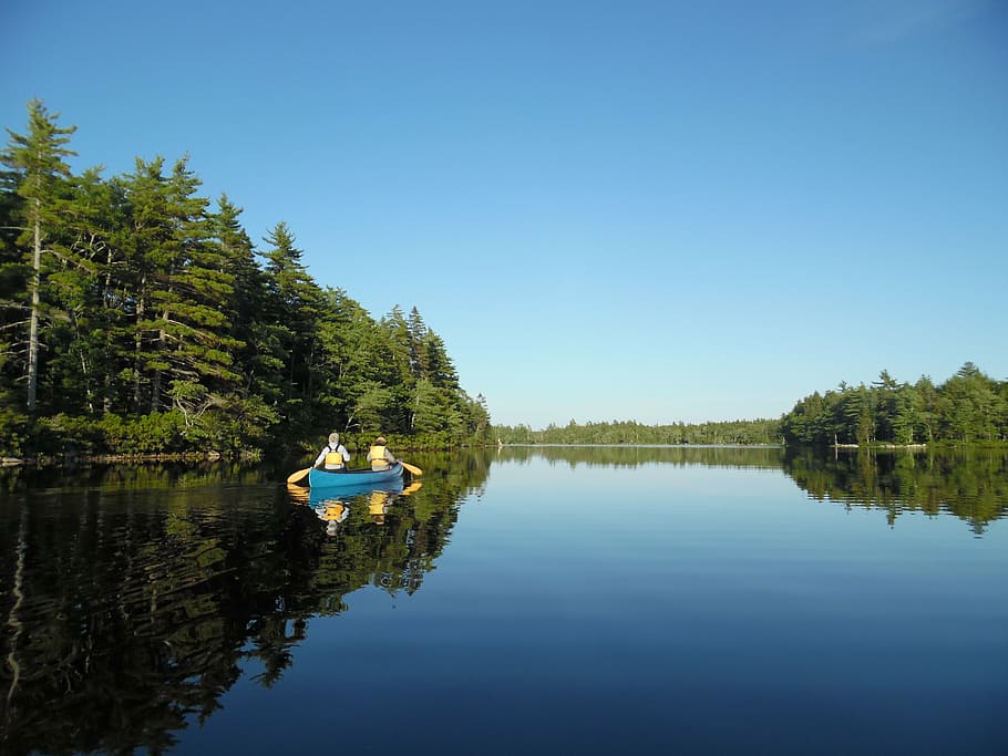 canoe, chalet, lake, vacancy, nature, water, tree, reflection, plant, nautical vessel