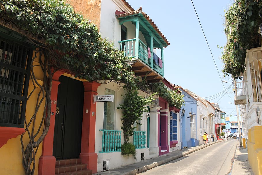 people, walking, houses, cartagena, colombia, street, flower, colorful, sea, caribbean