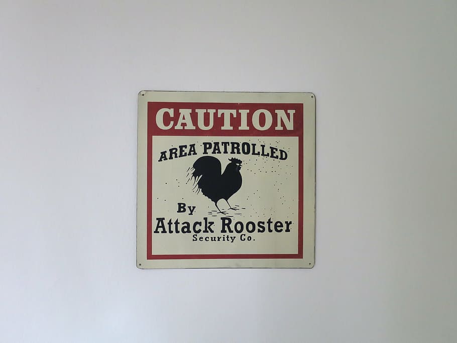 attack rooster, beware sign, warning, text, communication, western script, sign, wall - building feature, close-up, information