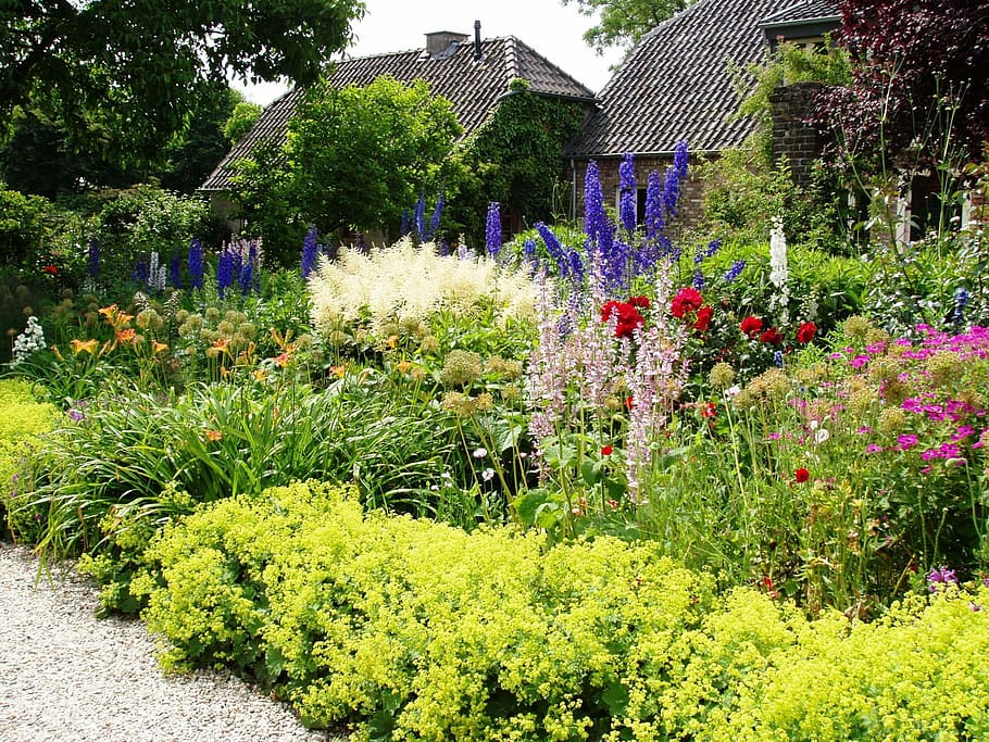 Garden, Bedburg-Hau, benderlucens, plant, flower, flowerbed, purple, landscaped, outdoors, flowering plant