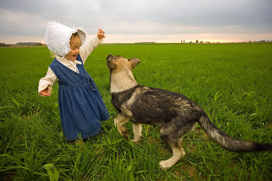 toddler, wearing, headdress, grass field, farm, rural, girl, dog, playing, field