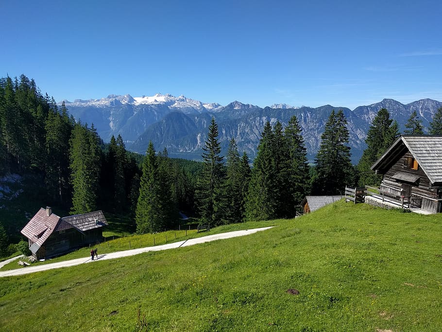 Alm, Senderismo, Alpino, Prado, Montañas, naturaleza, paisaje, Austria, cabaña, refugio de montaña