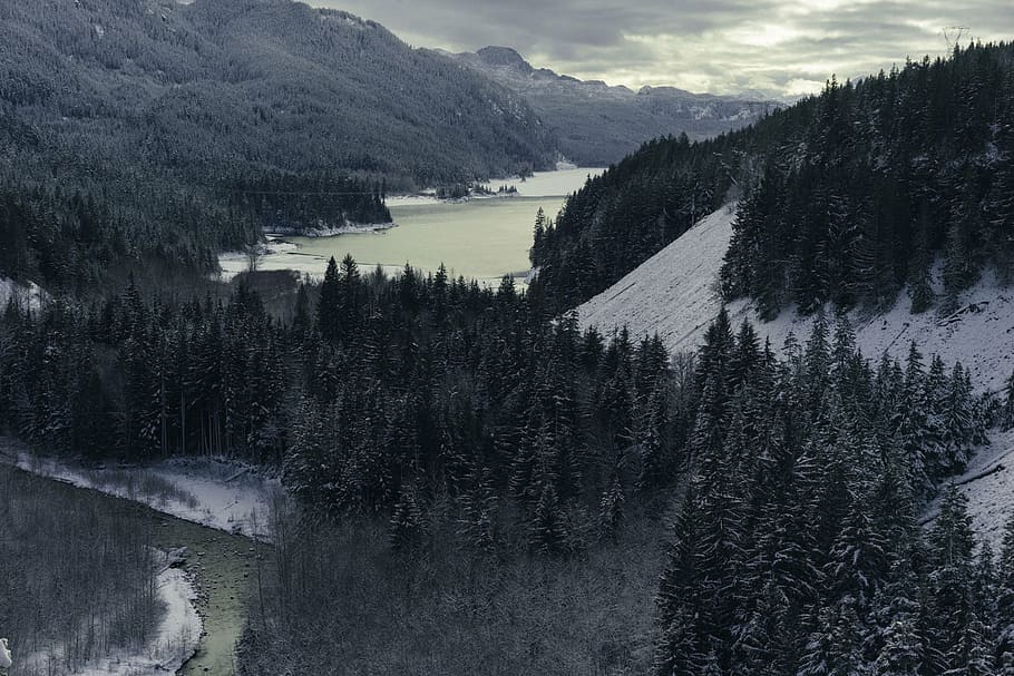 aerial, photography, mountain, lake, daytime, nature, landscape, trees, woods, forest
