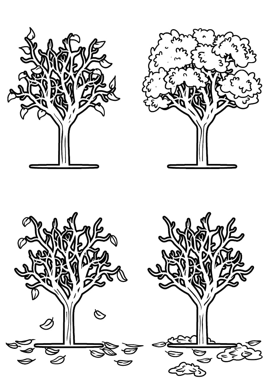 drawing, tree, seasons, nature, design, plant, romantic