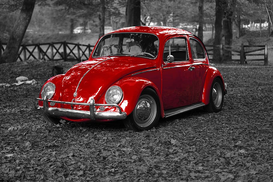 red volkswagen beetle, vw, beetle, bug, vintage, vehicle, old, retro, transportation, car