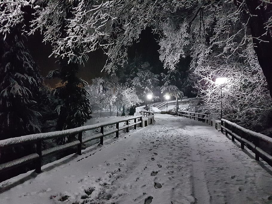 sierra de cazorla, snow, winter, bridge, landscape, nature, black and white, trees, forest, jaén