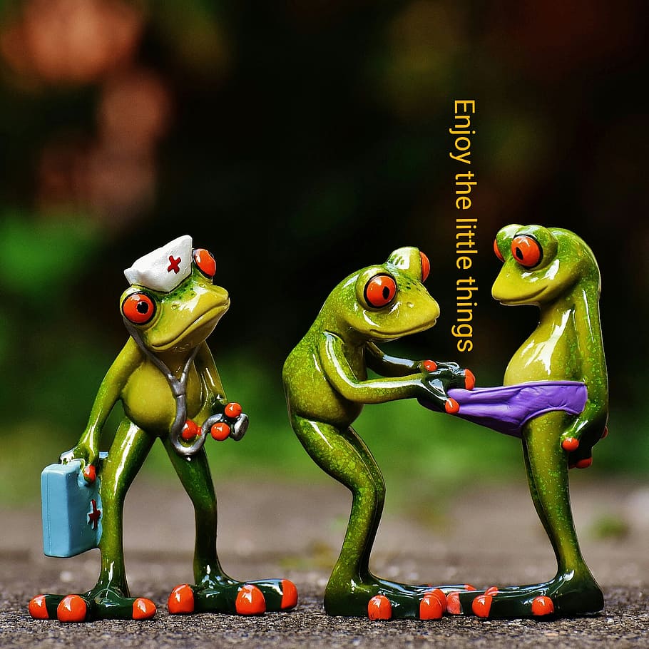 frogs, enjoy the little things, funny, cute, nurse, doctor on call, fun, figures, representation, art and craft