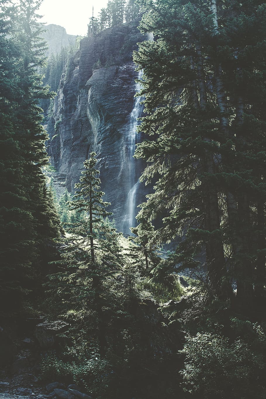 green, pine trees, waterfall, daytime, nature, forest, trees, pines, mountain, scenery