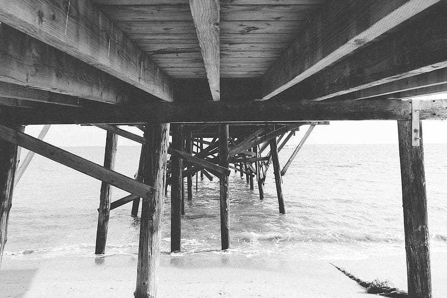 wood, dock, pier, beach, sand, water, ocean, black and white, sea, land