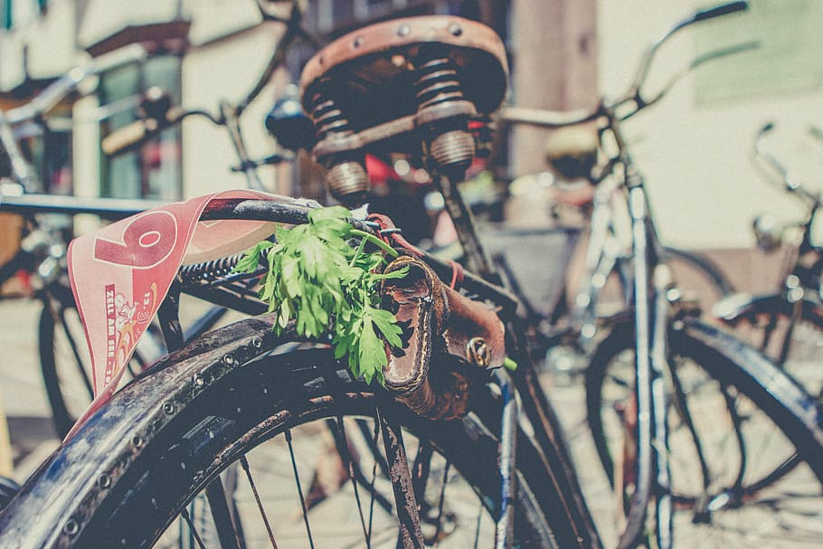 brown, gray, bicycle, tire, old, rusty, green, leaves, leather, wallet