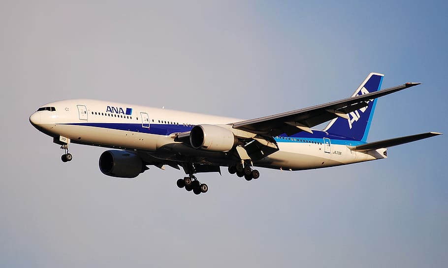 white, blue, ana airline, midair, boeing 777, ana, all nippon airways, aircraft, plane, journey