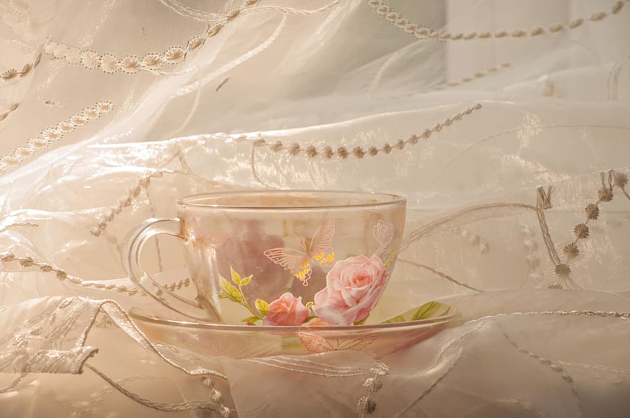 cup, curtain, tulle, morning, flower, flowering plant, plant, freshness, nature, glass - material