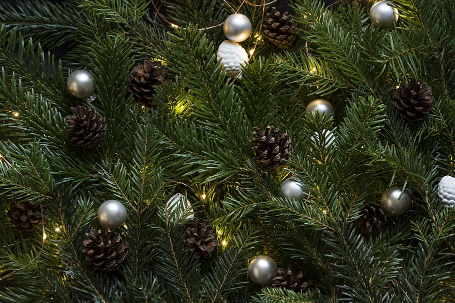 natal, pohon, dekorasi, ornamen, kerucut pinus, liburan, lampu, meriah, hari Natal, Natal ornamen