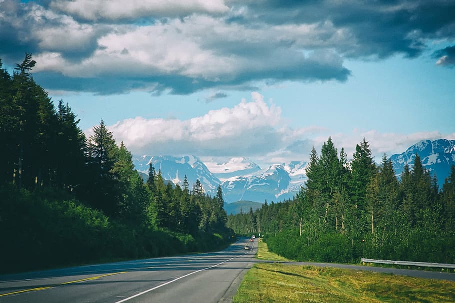 carretera, verde, hojeado, árboles, alaska, carretera seward, bosque, bosques, cielo, nubes