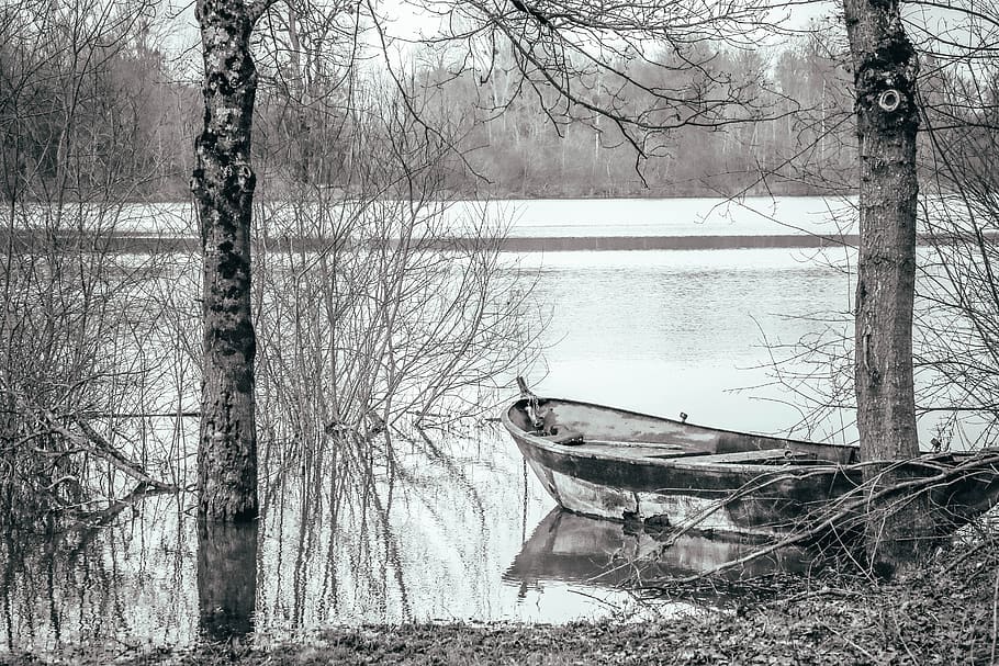 boat, winter, pond, grey, calm, field, black-and-white, scope, tree, water