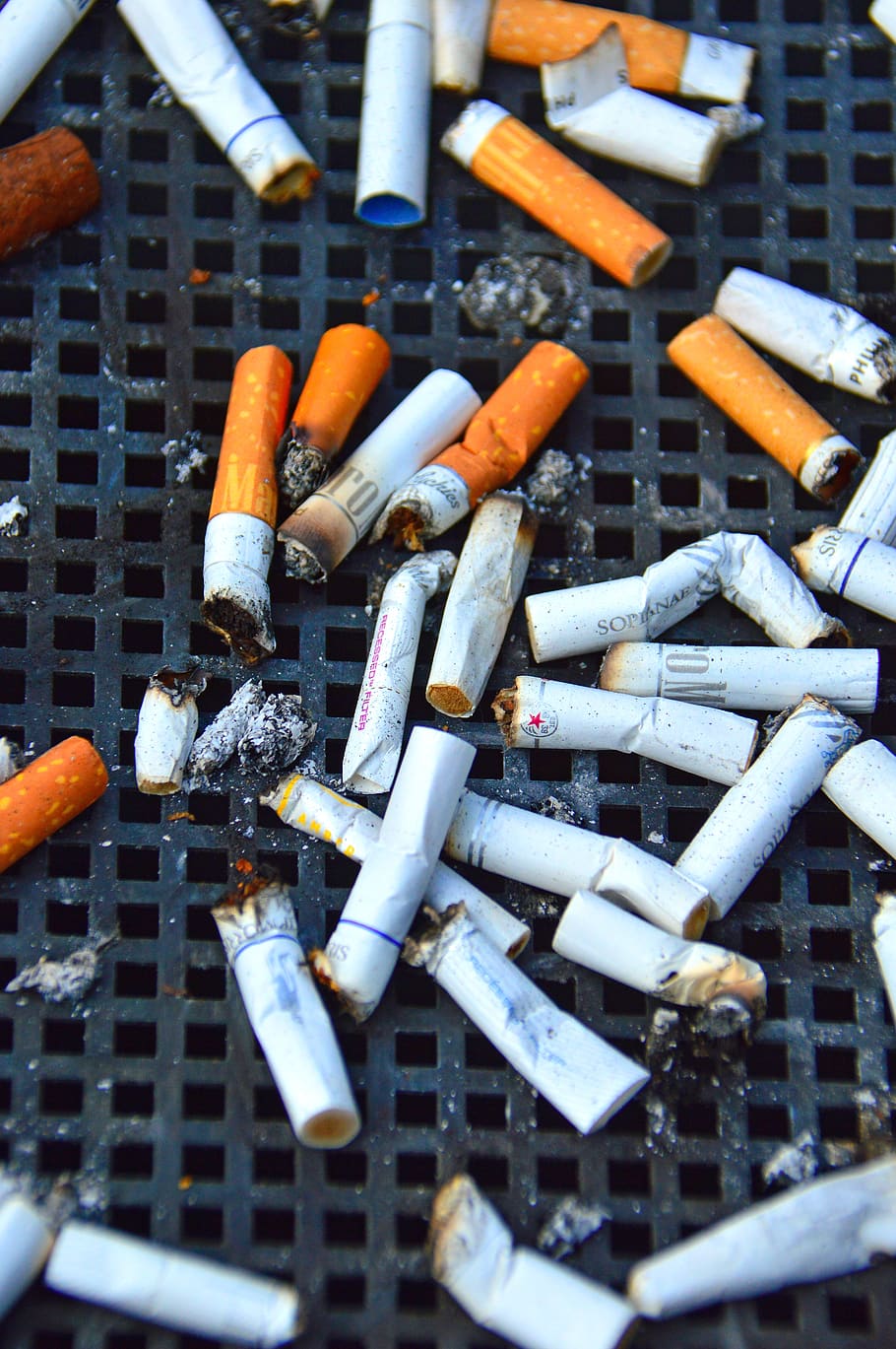 cig, cigarrillo, chic, colillas, nicotina, fumar, salud, estilo de vida, tabaco, hábito