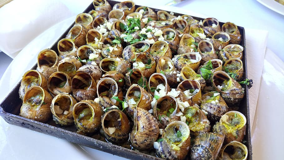 snails, snail, recipe, food, food and drink, freshness, high angle view, indoors, close-up, ready-to-eat