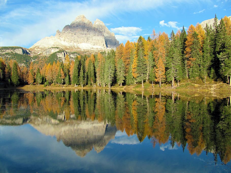pessoa mostrando floresta, lago, vista, montanha, paisagem, árvores, floresta, natureza, outono, água