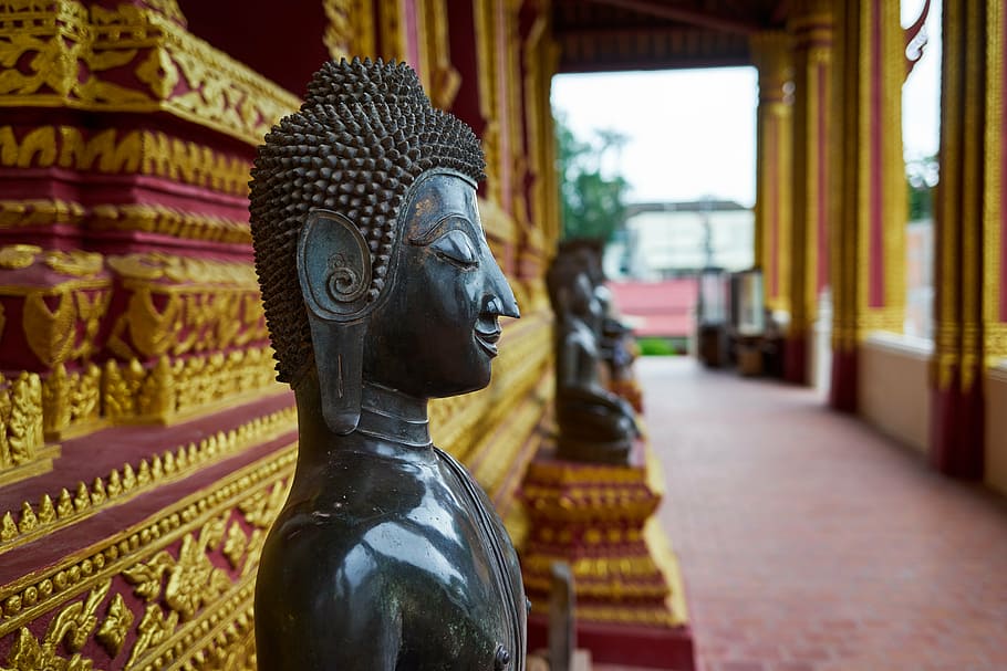 templo, estátuas, ásia, buda, budista, divindade, laos, vientiane, escultura, estátua