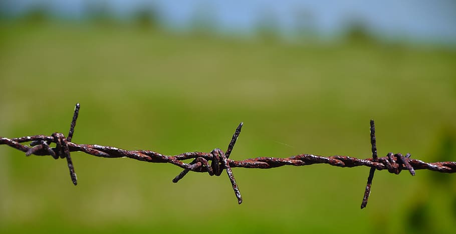 Wire, Knitting, Landscape, Rust, wireview, barbed wire, focus on foreground, outdoors, green color, protection
