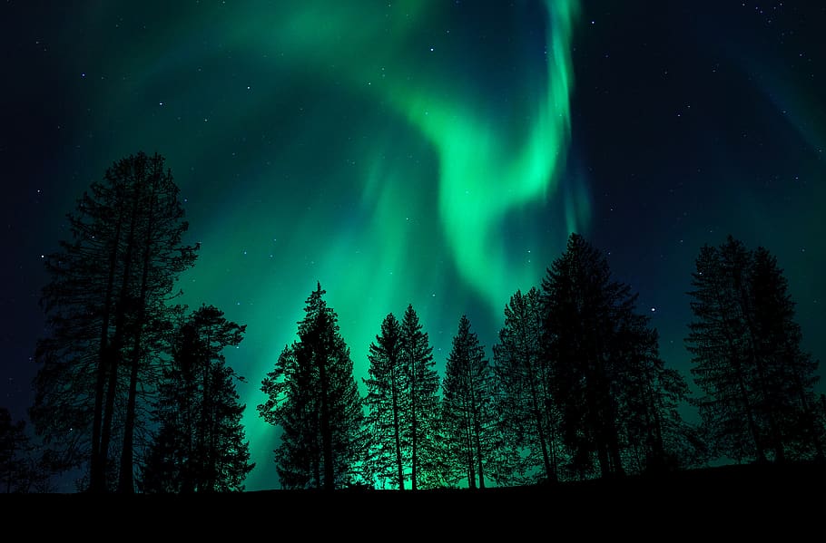 aurora, northern lights, phenomenon, atmosphere, sky, night, nature, landscape, borealis, astronomy