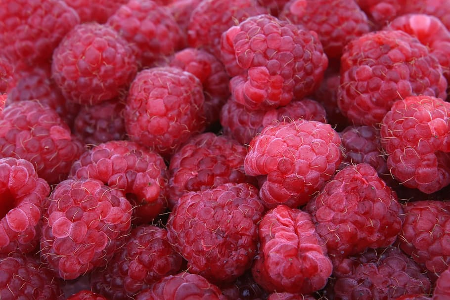 red raspberries, background, berries, berry, bitter, blackberry, blueberry, breakfast, bright, c