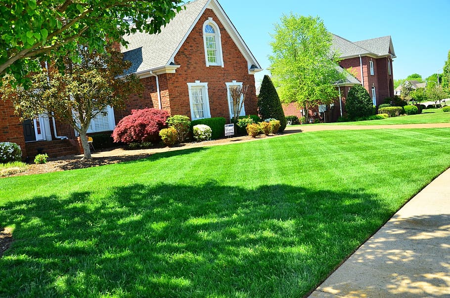 brown, brick house, green, grass field, lawn care, lawn maintenance, lawn services, grass cutting, lawn mowing, plant