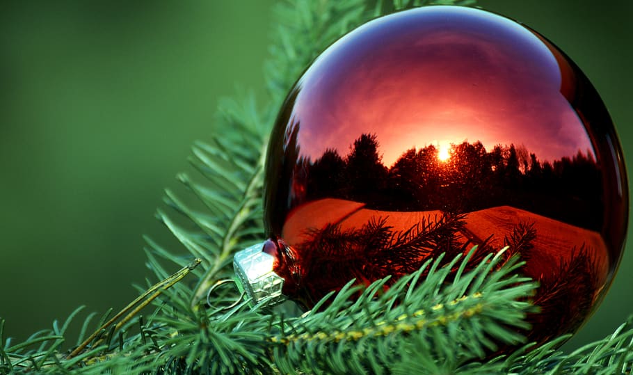 días festivos, adorno navideño, el fondo, papel tapiz, tarjeta, navidad, árbol de navidad, adornos, ramitas, decoración