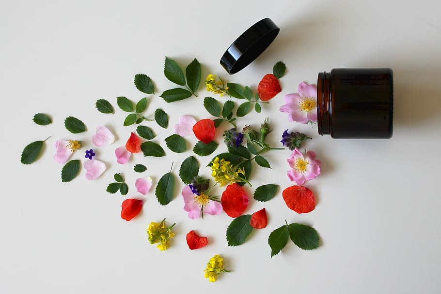 red, pink, yellow, green, flowers, natural cosmetics, cosmetics, beauty, skin care, wellness
