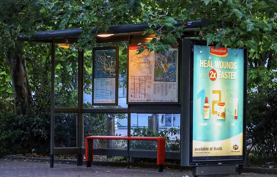 bus stop, public, transportation, urban, london, street, station, text, communication, tree