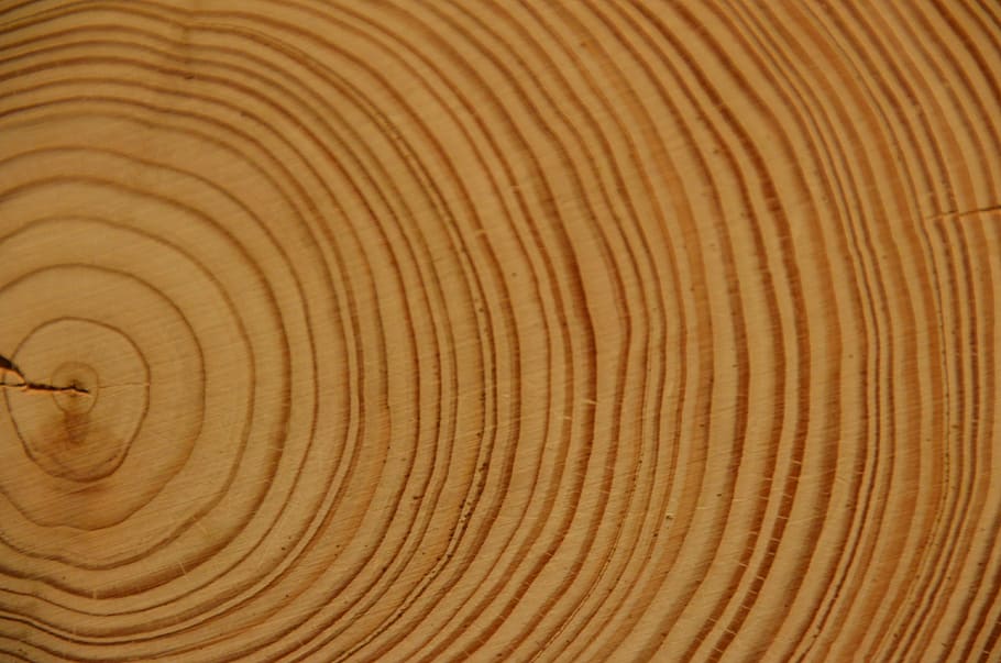 kayu, tahunan, cincin, pohon, log, alunan, cincin tahunan, latar belakang, bingkai penuh, serat kayu
