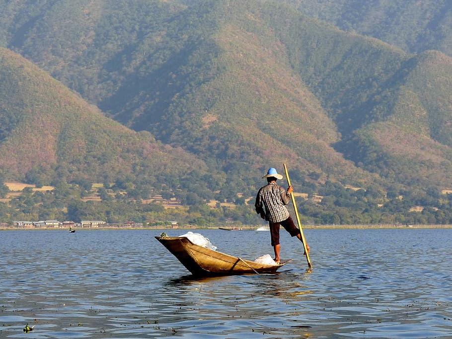 hombre pesca, cuerpo, agua, pescador, lago inle, birmania, pesca, red, paleta, tradicional